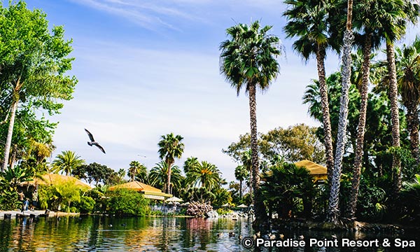 パラダイス ポイント リゾート&スパ