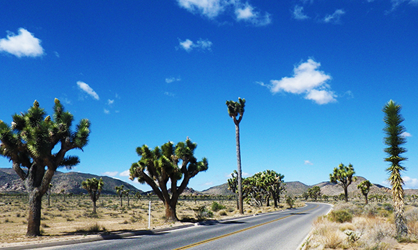 南カリフォルニア アウトドア女子旅 ＆ 母娘旅 2016