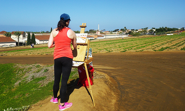 フラワーフィールド　The Flower Fields at Carlsbad Ranch