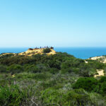 トーリー・パインズ・ステート保護区 Torrey Pines State Natural Reserve