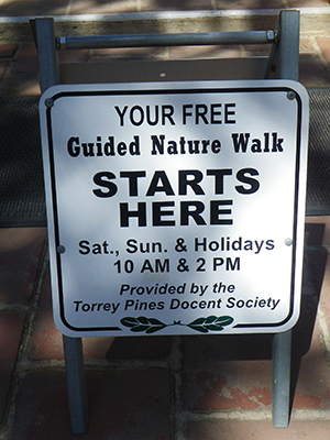 トーリー・パインズ・ステート保護区 Torrey Pines State Natural Reserve