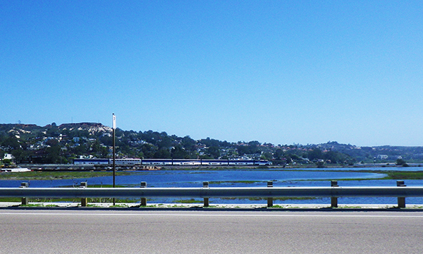 トーリー・パインズ・ステート保護区 Torrey Pines State Natural Reserve