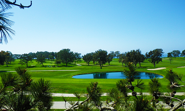 ロッジ アット トーリー パインズ　THE LODGE AT TORREY PINES