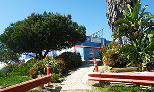 トーリー パイン グライダーポート　Torrey Pines Gliderport