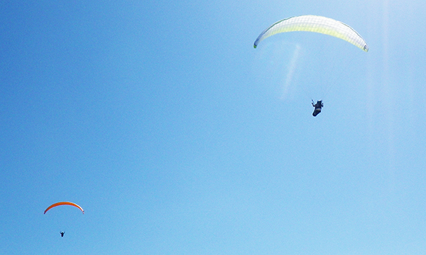 トーリー パイン グライダーポート　Torrey Pines Gliderport