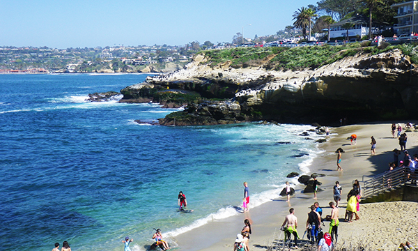 ラ ホヤ コーヴ　La Jolla Cove