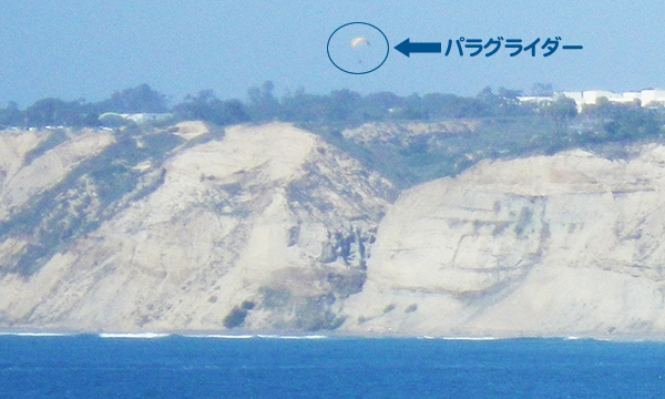 ラ ホヤ コーヴ　La Jolla Cove