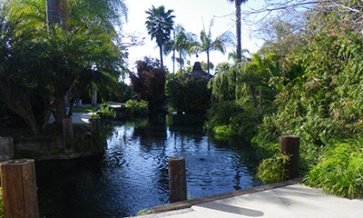 パラダイス ポイント リゾート&スパ 宿泊レポート