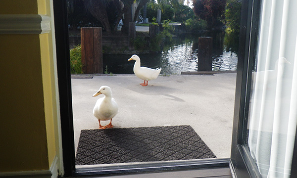 パラダイス ポイント リゾート&スパ 宿泊レポート