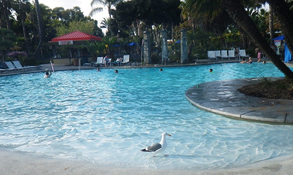 パラダイス ポイント リゾート&スパ 宿泊レポート