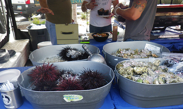 ヒルクレスト ファーマーズ マーケット（Hillcrest Farmer’s Market）