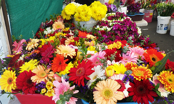 ヒルクレスト ファーマーズ マーケット