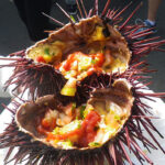 ヒルクレスト ファーマーズ マーケット（Hillcrest Farmer’s Market）