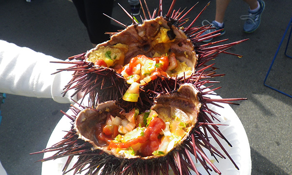 ヒルクレスト ファーマーズ マーケット（Hillcrest Farmer’s Market）