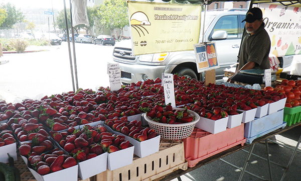 ヒルクレスト ファーマーズ マーケット