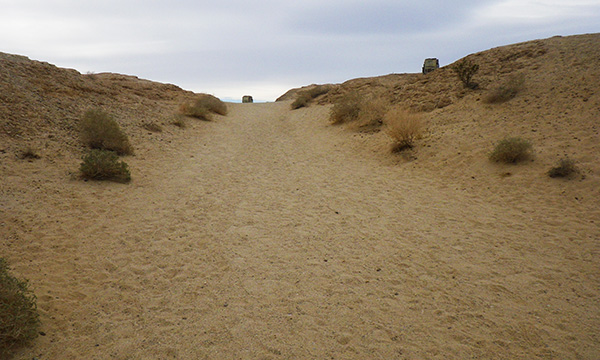 フォンツ ポイント　Fonts Point