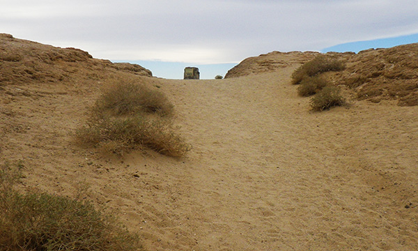 フォンツ ポイント　Fonts Point