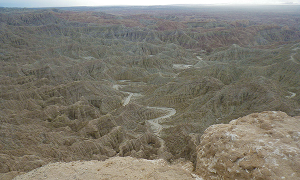 フォンツ ポイント　Fonts Point