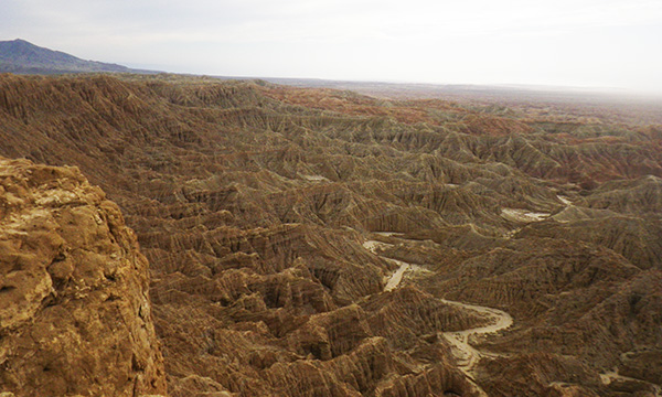 フォンツ ポイント　Fonts Point