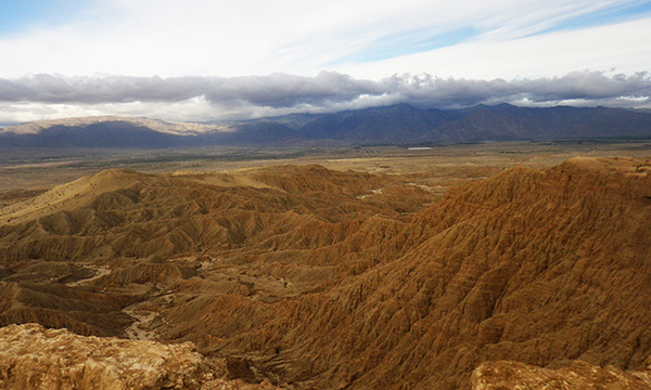 フォンツ ポイント　Fonts Point