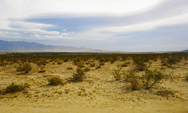 ガレッタメドウズ（Galleta Meadows）