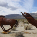 ガレッタメドウズ（Galleta Meadows）