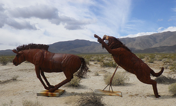 ガレッタメドウズ（Galleta Meadows）