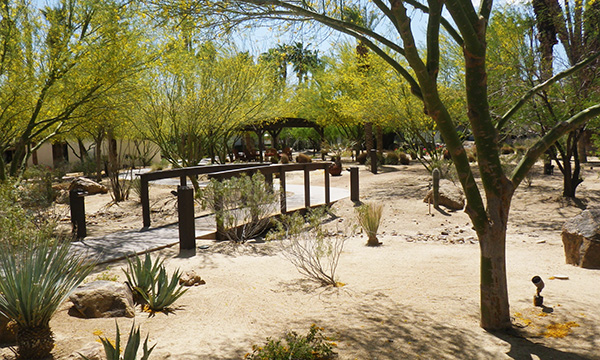 ラ カサ デル ゾッロ リゾート & スパ　La Casa del Zorro Resort & Spa