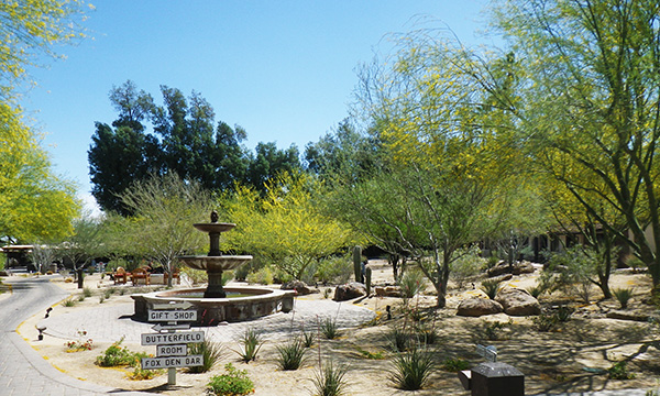 ラ カサ デル ゾッロ リゾート & スパ　La Casa del Zorro Resort & Spa