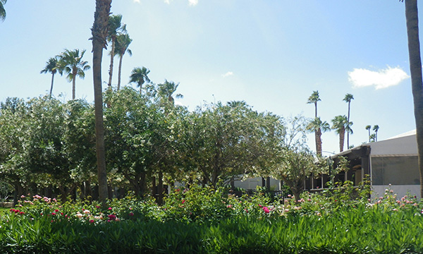 ラ カサ デル ゾッロ リゾート & スパ　La Casa del Zorro Resort & Spa