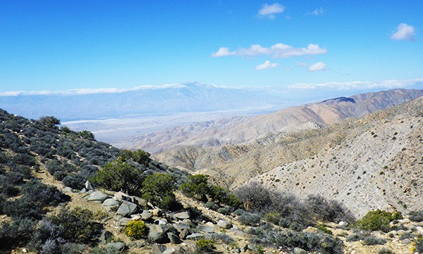 Keys View　キーズビュー