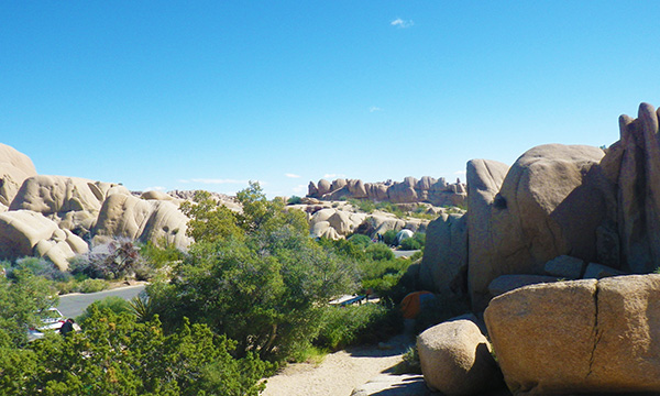 ジョシュアツリー国立公園　Joshua Tree National Park
