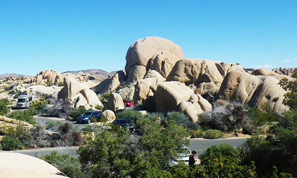 ジョシュアツリー国立公園　Joshua Tree National Park