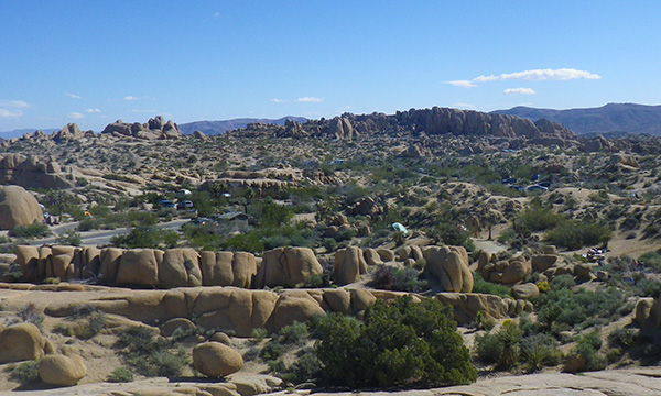 ジョシュアツリー国立公園　Joshua Tree National Park