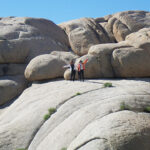 ジョシュアツリー国立公園　Joshua Tree National Park
