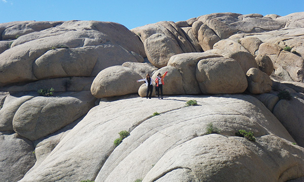 ジョシュアツリー国立公園　Joshua Tree National Park