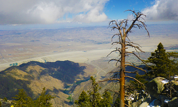パームスプリングス・エリアル・トラムウェイ　Palm Springs Aerial Tramway