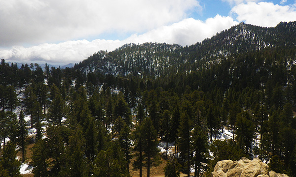 パームスプリングス・エリアル・トラムウェイ　Palm Springs Aerial Tramway