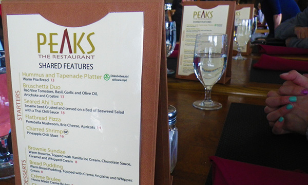 パームスプリングス・エリアル・トラムウェイ　Palm Springs Aerial Tramway