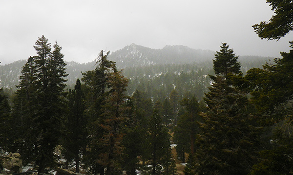 サンジャシント山州立公園　Mount San Jacinto State Park