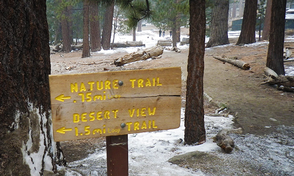 サンジャシント山州立公園　Mount San Jacinto State Park
