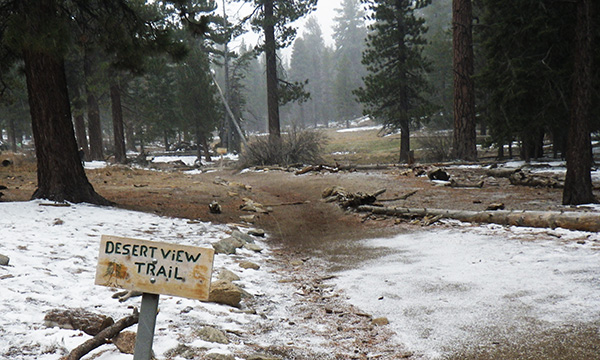 サンジャシント山州立公園　Mount San Jacinto State Park