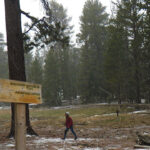 サンジャシント山州立公園　Mount San Jacinto State Park