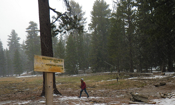 サンジャシント山州立公園　Mount San Jacinto State Park
