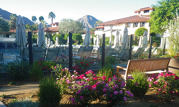 ミラモンテ リゾート & スパ　Miramonte Resort & Spa