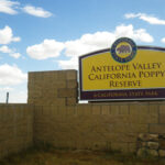 アンテロープ・バレー・カリフォルニア・ポピー保護区