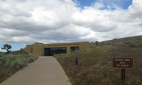 アンテロープ・バレー・カリフォルニア・ポピー保護区