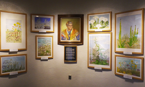 アンテロープ・バレー・カリフォルニア・ポピー保護区