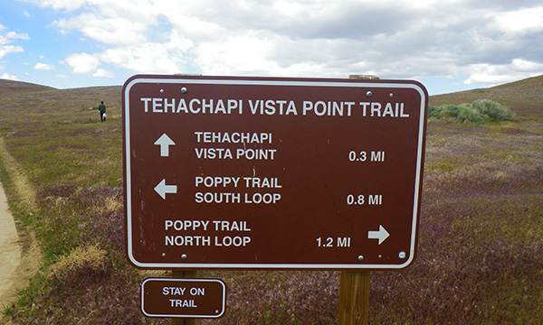 アンテロープ・バレー・カリフォルニア・ポピー保護区