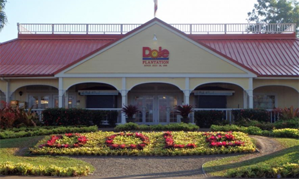 ハネムーンでレンタカードライブ　オアフ島 ノースショア編